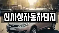 신사상자동차단지