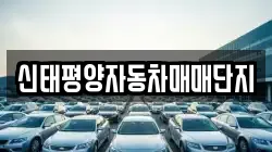 신태평양자동차매매단지