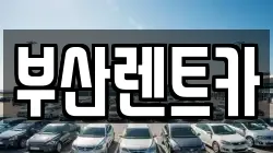 부산 사상구 주례동 렌트카,단기렌트카,장기렌트카,중고차,중고차매매,중고차매입