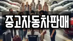 중고자동차판매