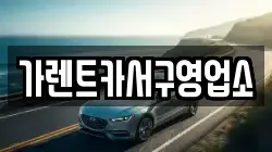 가렌트카서구영업소