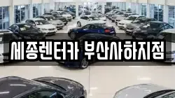 세종렌터카 부산사하지점