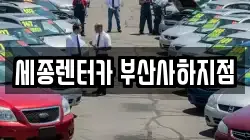 세종렌터카 부산사하지점
