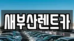 새부산렌트카