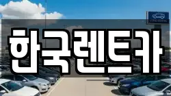 부산 서구 아미동1가 렌트카,단기렌트카,장기렌트카,중고차,중고차매매,중고차매입