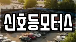 신호등모터스