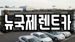 뉴국제렌트카