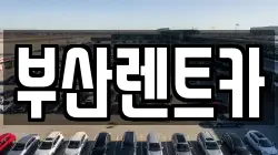 부산렌트카