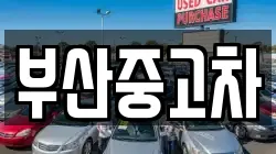 부산중고차