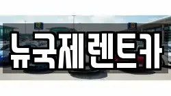 뉴국제렌트카