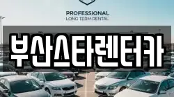 부산스타렌터카