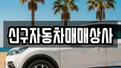 신구자동차매매상사