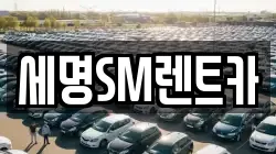 부산 영도구 대교동2가 렌트카,단기렌트카,장기렌트카,중고차,중고차매매,중고차매입
