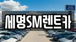 부산 영도구 동삼동 렌트카,단기렌트카,장기렌트카,중고차,중고차매매,중고차매입