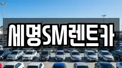 부산 영도구 렌트카,단기렌트카,장기렌트카,중고차,중고차매매,중고차매입