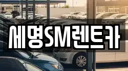 부산 영도구 신선동3가 렌트카,단기렌트카,장기렌트카,중고차,중고차매매,중고차매입