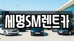 부산 영도구 청학동 렌트카,단기렌트카,장기렌트카,중고차,중고차매매,중고차매입
