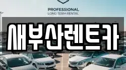 새부산렌트카