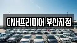 부산 중구 동광동3가 렌트카,단기렌트카,장기렌트카,중고차,중고차매매,중고차매입