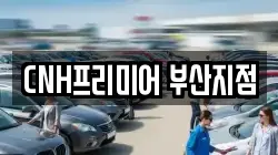 부산 중구 신창동1가 렌트카,단기렌트카,장기렌트카,중고차,중고차매매,중고차매입