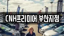 부산 중구 신창동3가 렌트카,단기렌트카,장기렌트카,중고차,중고차매매,중고차매입