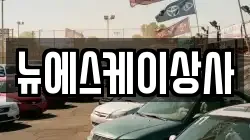 뉴에스케이상사
