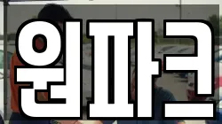 원파크