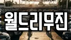 월드리무진