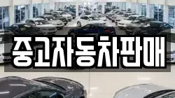 중고자동차판매