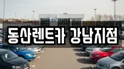 서울특별시 강남구 도곡동 렌트카,단기렌트카,장기렌트카,중고차,중고차매매,중고차매입