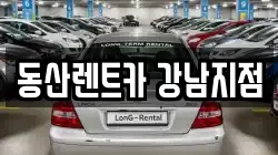 동산렌트카 강남지점