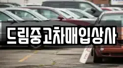 드림중고차매입상사
