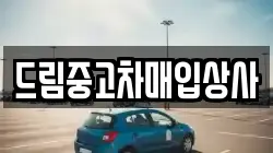 드림중고차매입상사