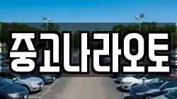 중고나라오토