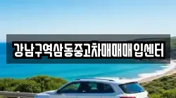 강남구역삼동중고차매매매입센터