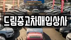 드림중고차매입상사