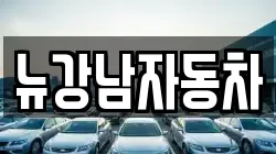 뉴강남자동차