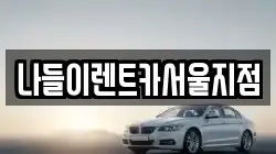 나들이렌트카서울지점