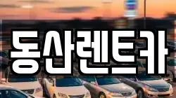 서울특별시 강남구 자곡동 렌트카,단기렌트카,장기렌트카,중고차,중고차매매,중고차매입