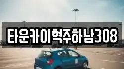 타운카이혁주하남308