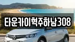 타운카이혁주하남308
