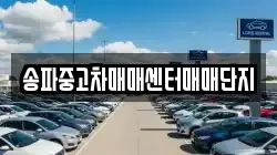 송파중고차매매센터매매단지