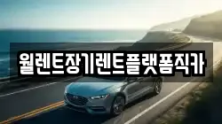 월렌트장기렌트플랫폼직카