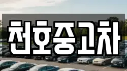 천호중고차