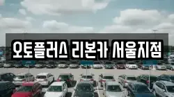 오토플러스 리본카 서울지점