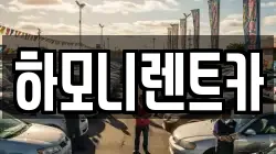 서울특별시 강서구 가양동 렌트카,단기렌트카,장기렌트카,중고차,중고차매매,중고차매입