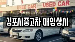 김포시중고차 매입상사