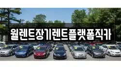 서울특별시 강서구 개화동 렌트카,단기렌트카,장기렌트카,중고차,중고차매매,중고차매입