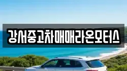 강서중고차매매라온모터스