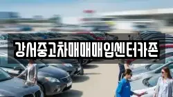 강서중고차매매매입센터카존